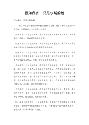 假如我有一只尼尔斯的鹅(4).docx