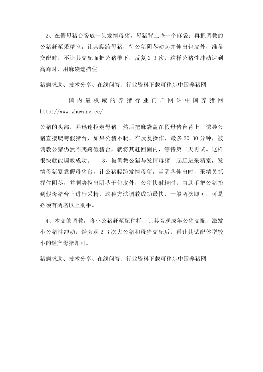 公猪怎么进行调教？.docx_第2页