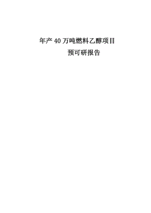 产40万吨燃料乙醇项目预可研报告.doc