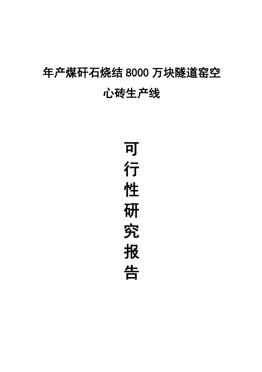 产煤矸石烧结8000万块隧道窑空心砖生产线可行性研究报告.doc_第1页