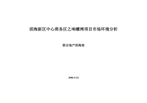 滨海新区中心商务区之响螺湾项目可行性分析.doc