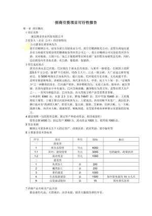 招商引资项目可行性报告.doc