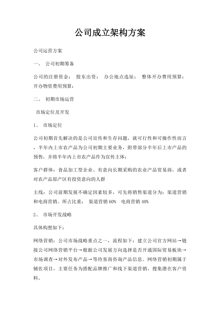 公司成立架构方案.docx_第1页