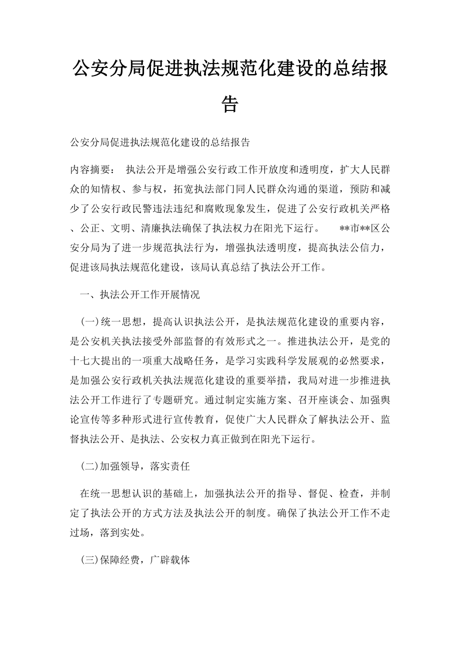 公安分局促进执法规范化建设的总结报告.docx_第1页