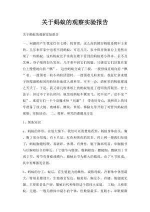 关于蚂蚁的观察实验报告.docx