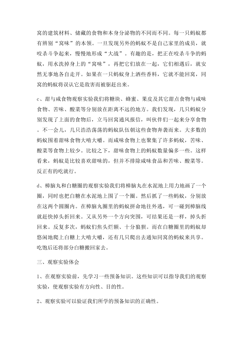 关于蚂蚁的观察实验报告.docx_第3页