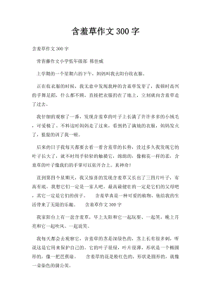 含羞草作文300字.docx