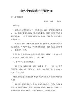 山谷中的谜底公开课教案.docx