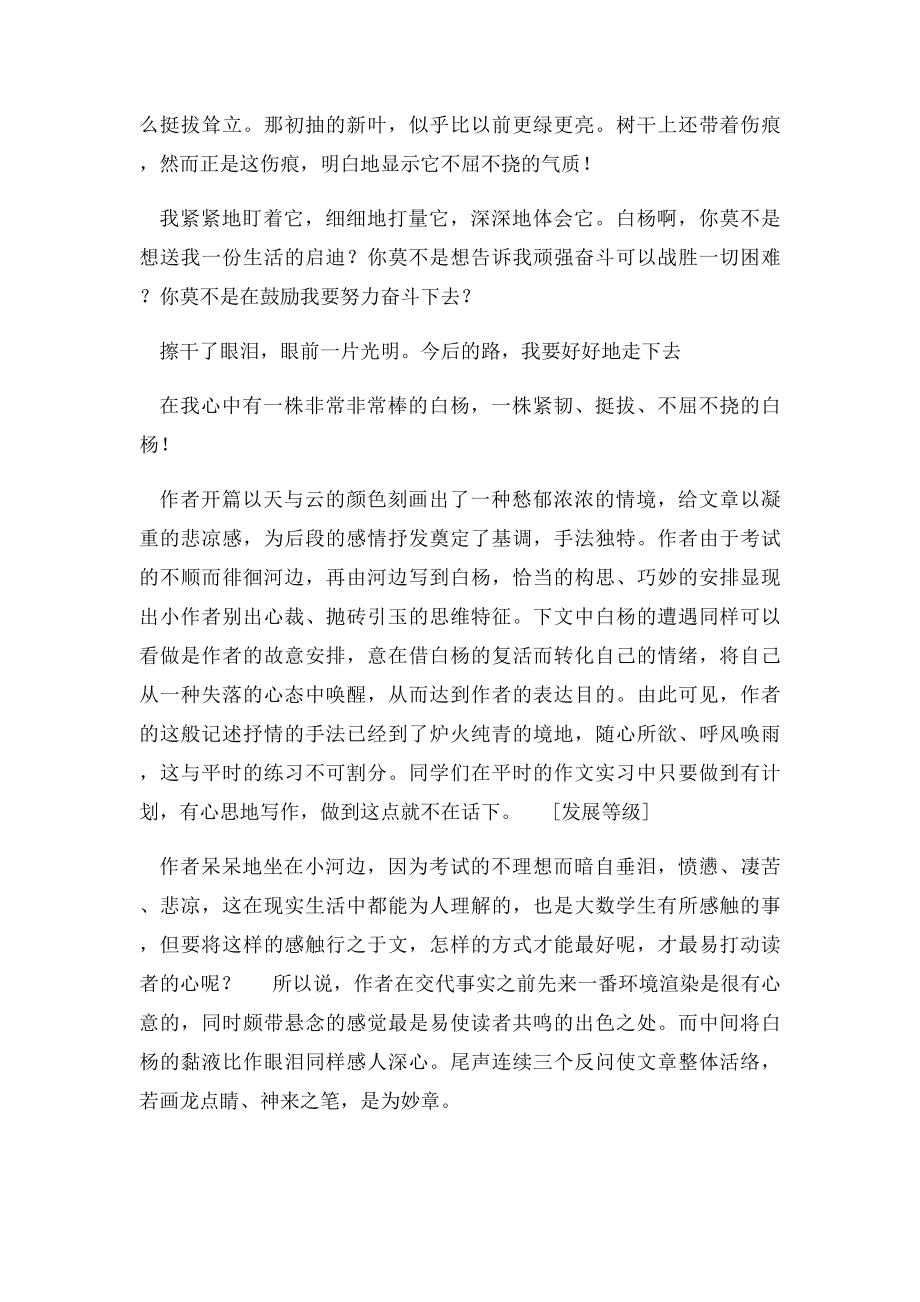 山西省中考满分作文小白杨,太棒了!(1).docx_第2页