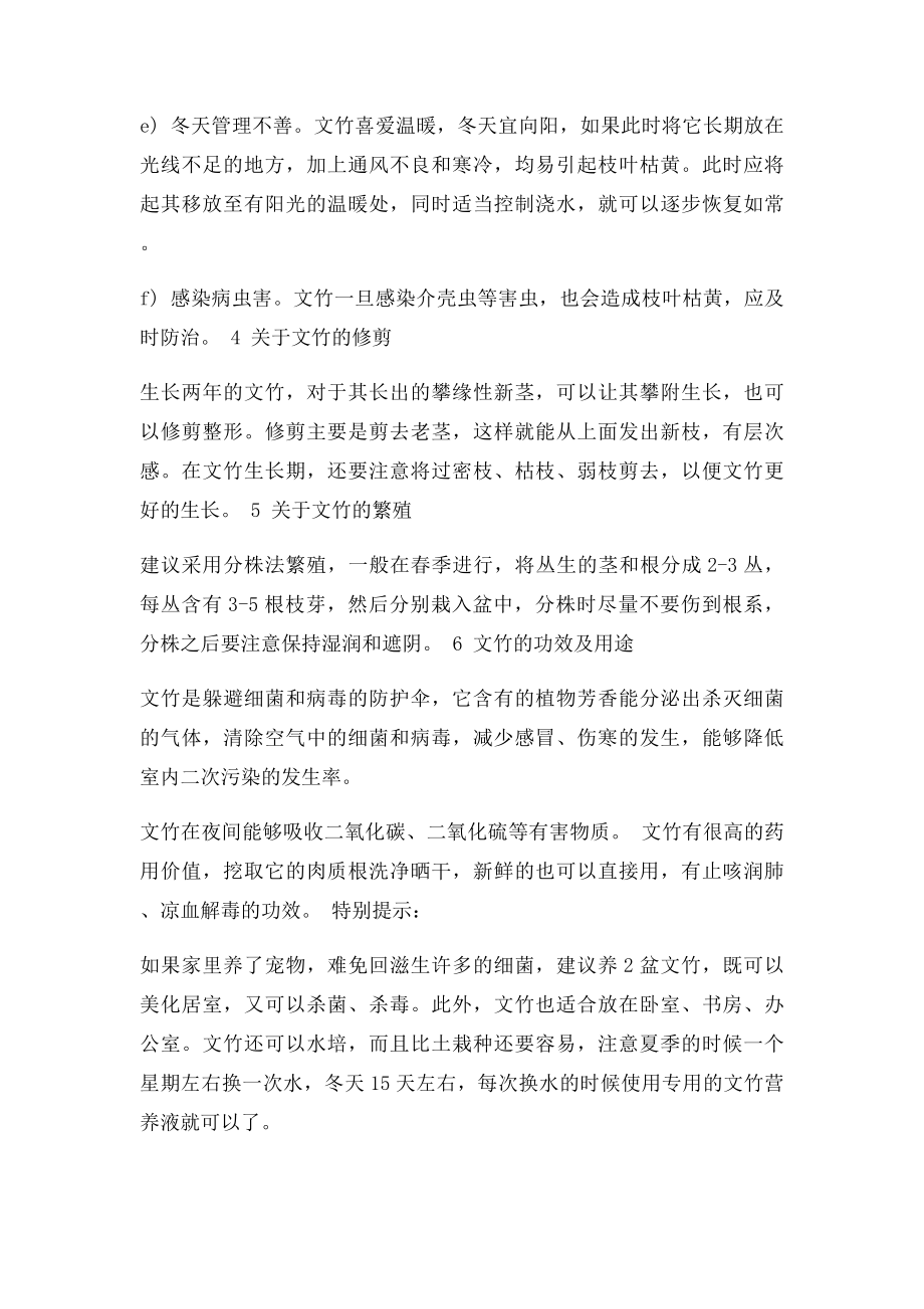 文竹的养殖方法和注意事项.docx_第3页