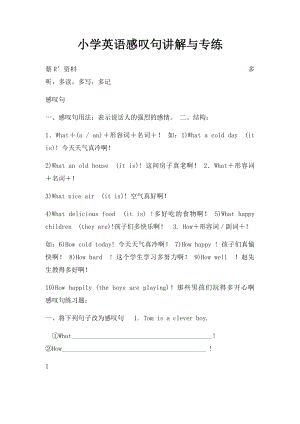 小学英语感叹句讲解与专练.docx