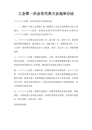 工会第一次会员代表大会选举办法.docx