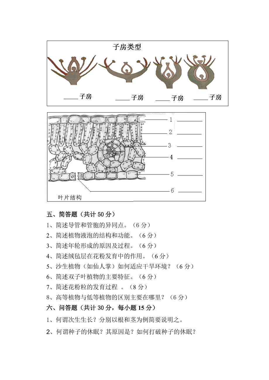 湖南农业大学考研真题616 植物学.doc_第3页