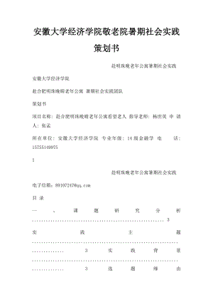 安徽大学经济学院敬老院暑期社会实践策划书.docx