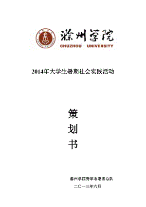 暑期社会实践策划书老大学.doc