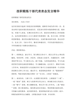 挂职锻炼干部代表表态发言精华.docx