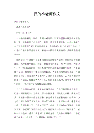 我的小老师作文.docx