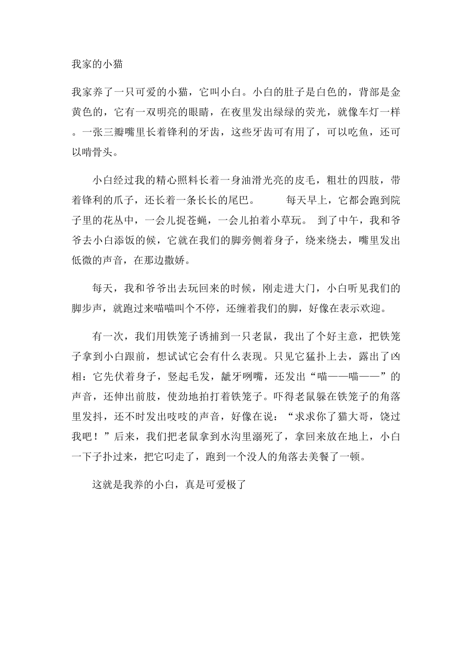 我和小狗的故事(1).docx_第2页