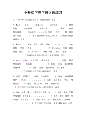 小升初字音字形词语练习.docx