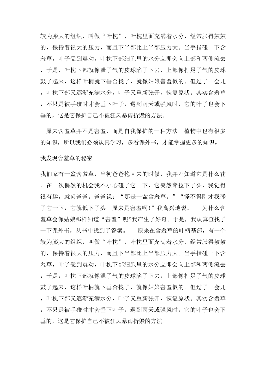 我发现向日葵的秘密.docx_第2页