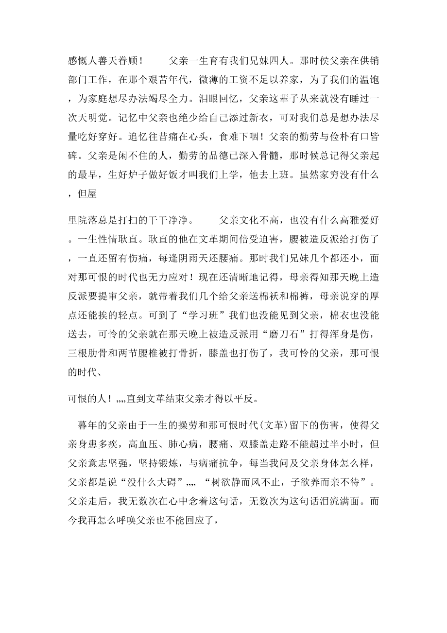 悼念父亲祭文(1).docx_第3页