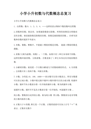 小学小升初数与代数概念总复习.docx