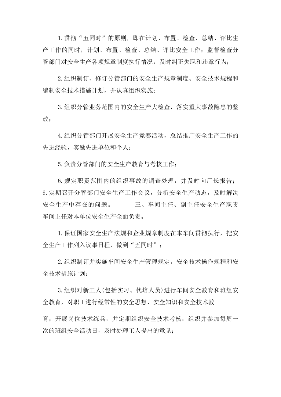 小水电站安全生产责任制.docx_第2页