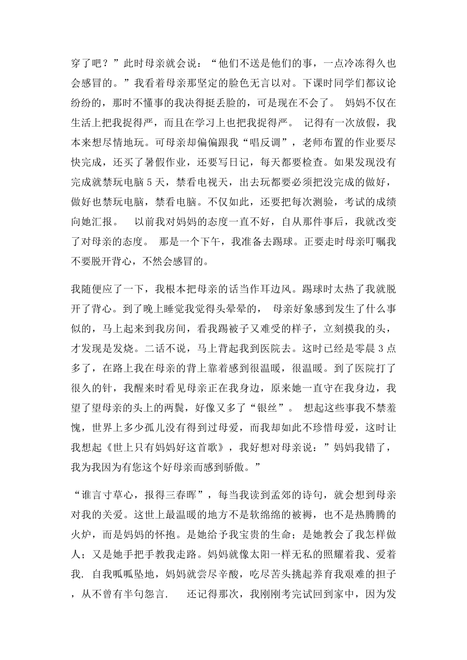 我的母亲作文300字.docx_第2页