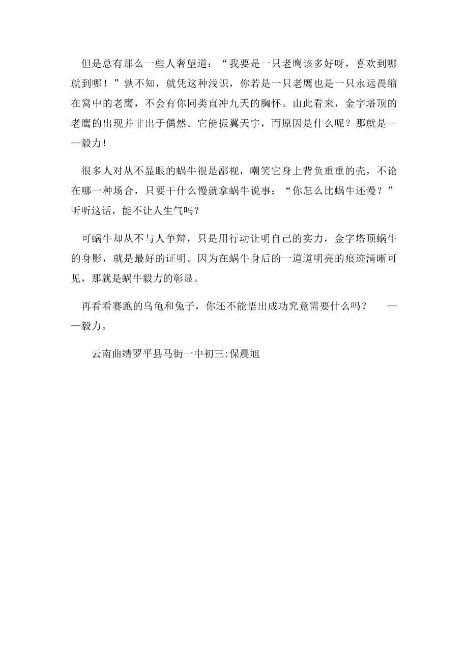 成功需要毅力.docx_第2页