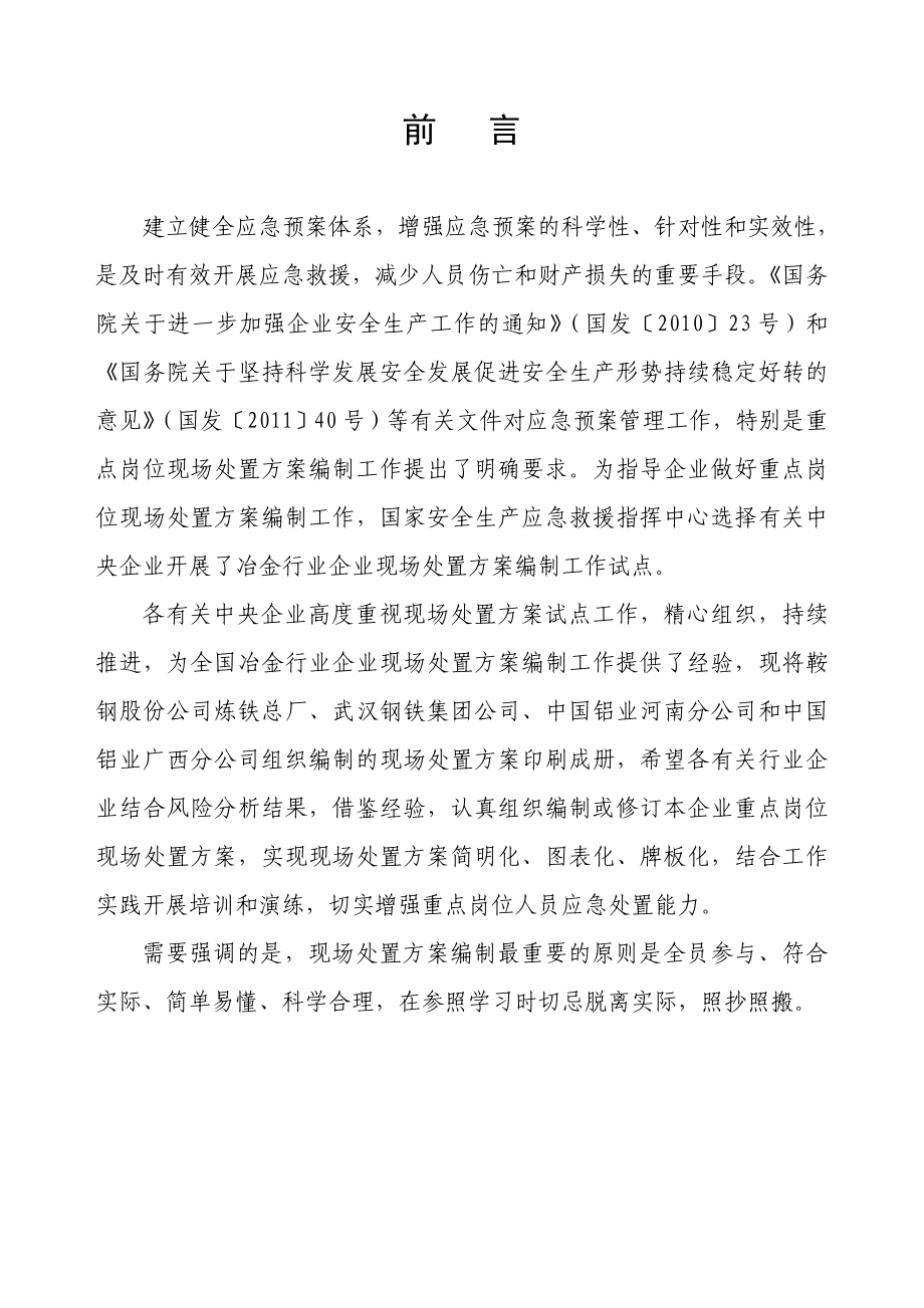 冶金企业现场处置方案范例.doc_第2页