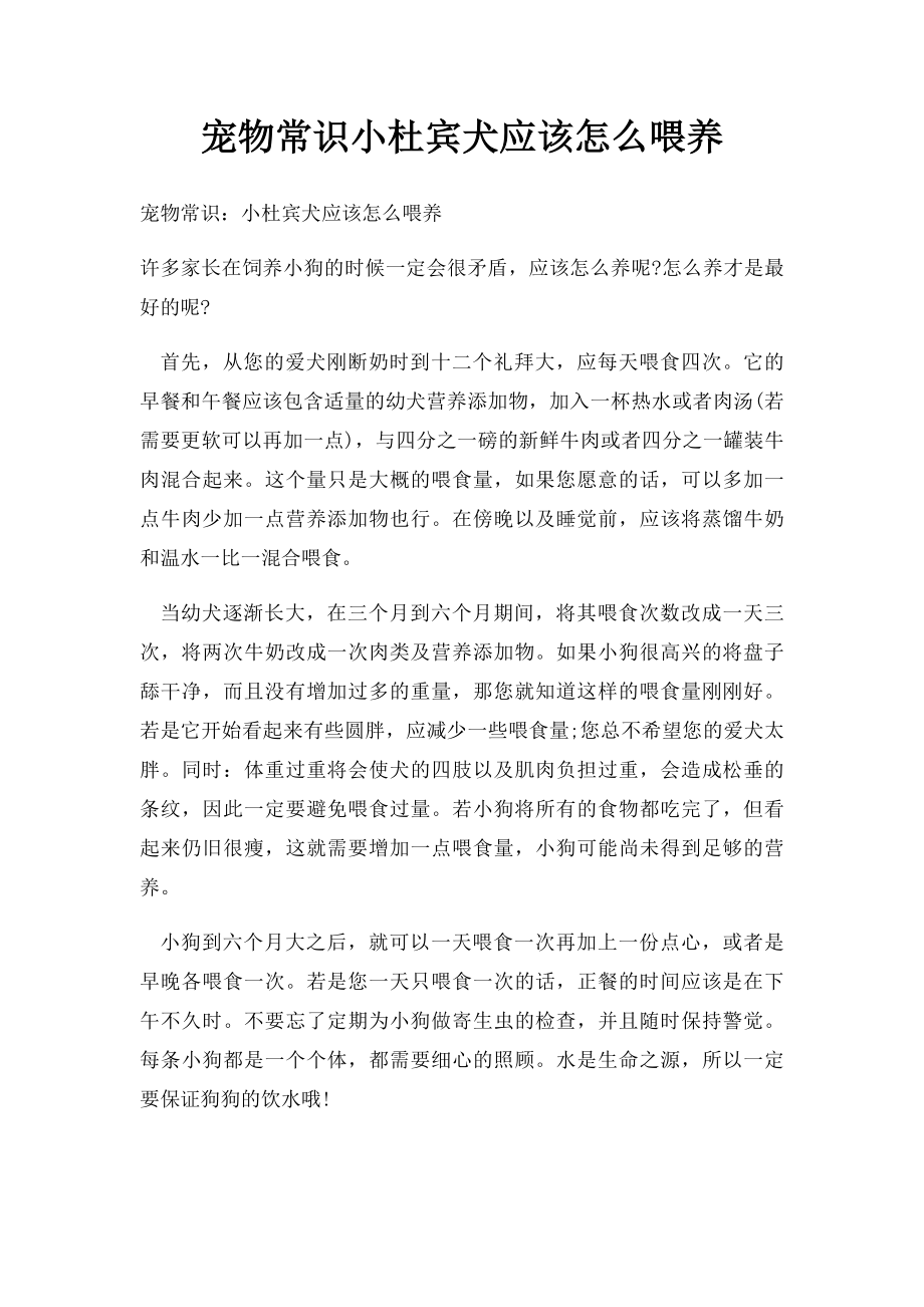 宠物常识小杜宾犬应该怎么喂养.docx_第1页