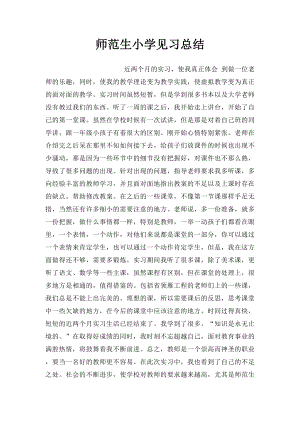 师范生小学见习总结.docx