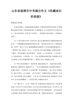 山东省淄博市中考满分作文《收藏成长的美丽》.docx