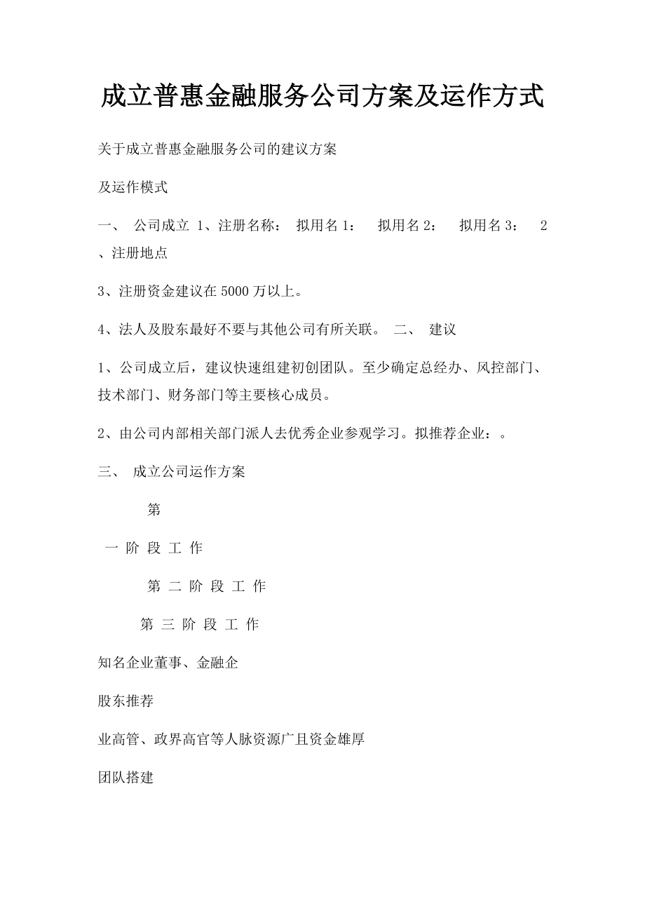 成立普惠金融服务公司方案及运作方式.docx_第1页