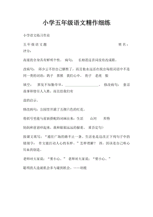 小学五年级语文精作细练 .docx