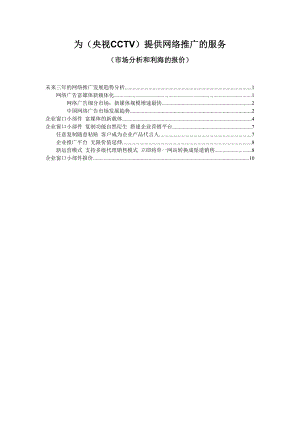 企业窗口小部件给央视CCTV项目建议书.doc