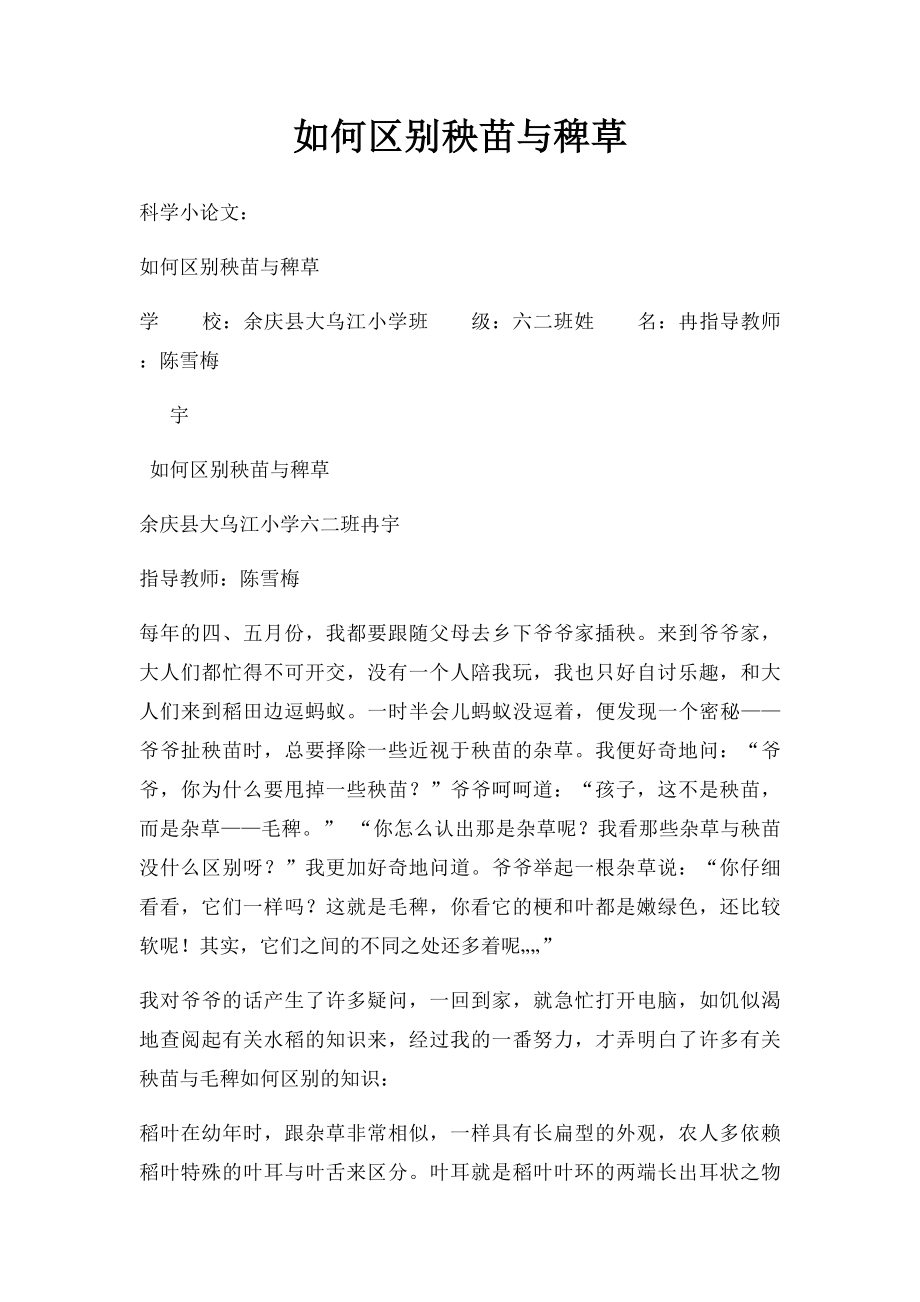 如何区别秧苗与稗草.docx_第1页