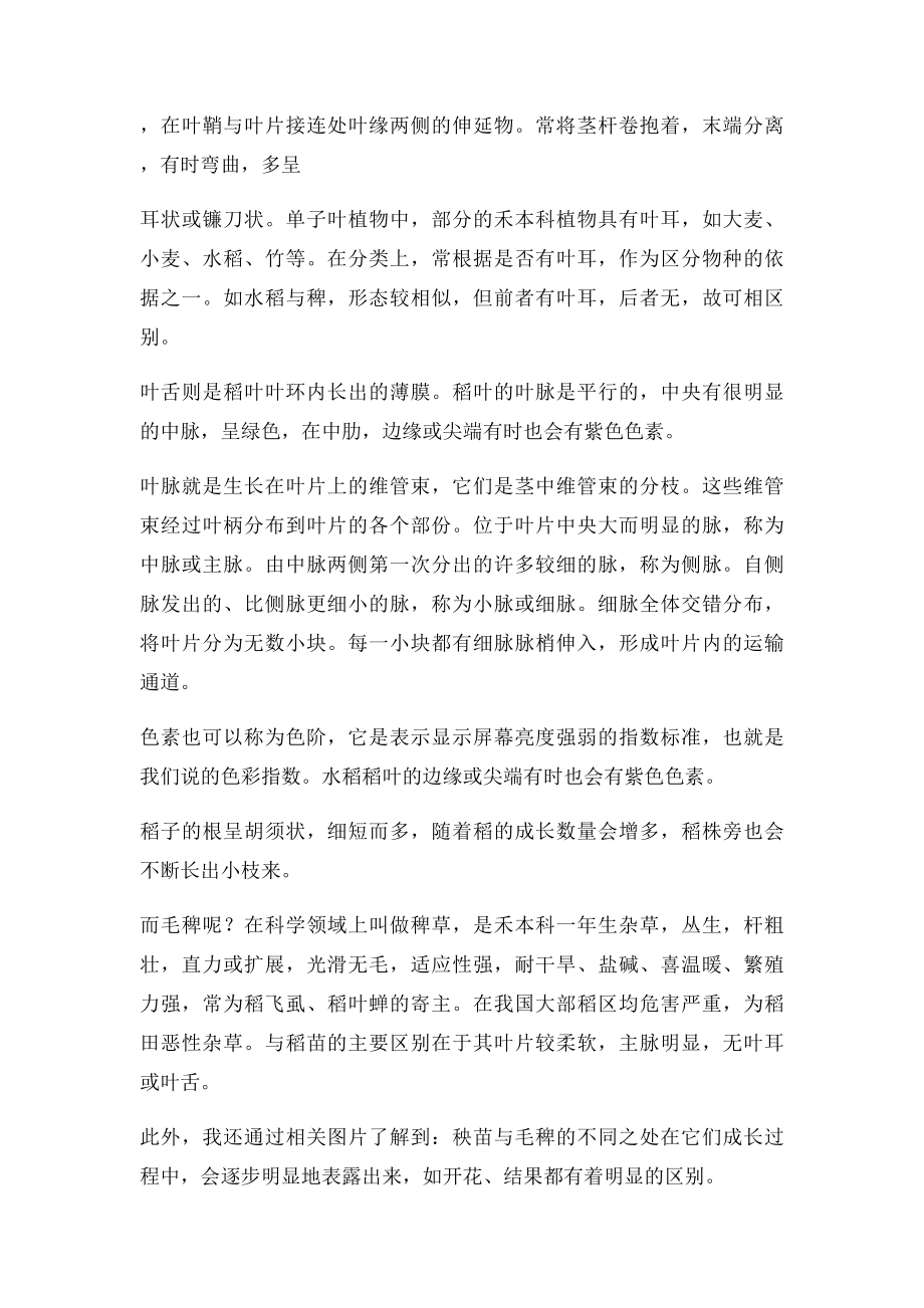 如何区别秧苗与稗草.docx_第2页