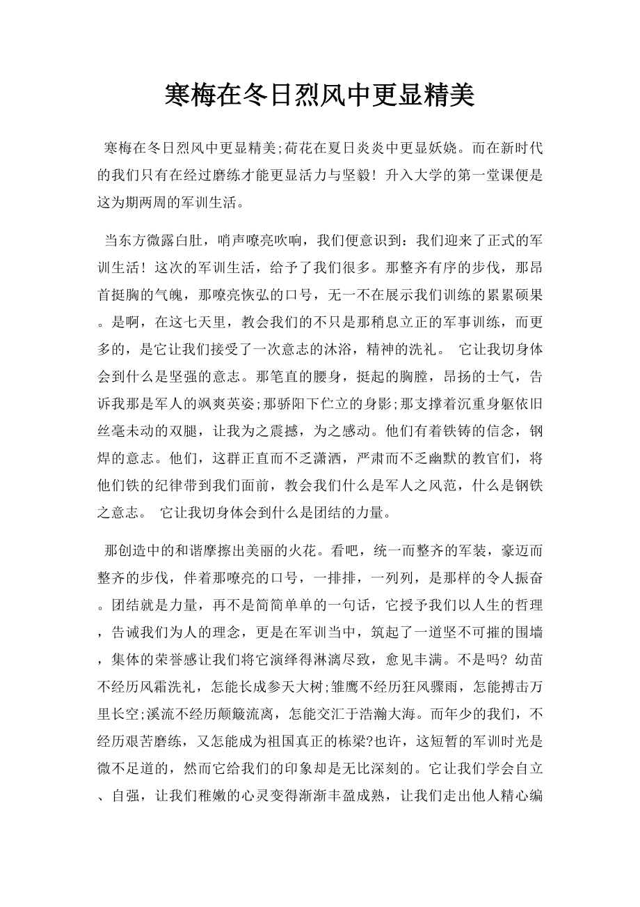 寒梅在冬日烈风中更显精美.docx_第1页