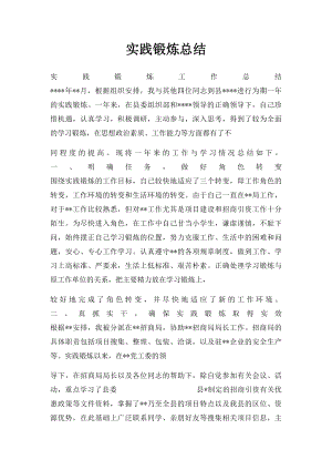 实践锻炼总结.docx