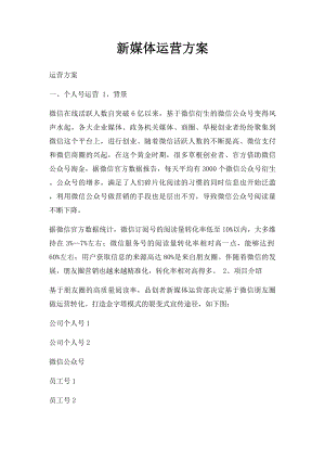 新媒体运营方案(1).docx