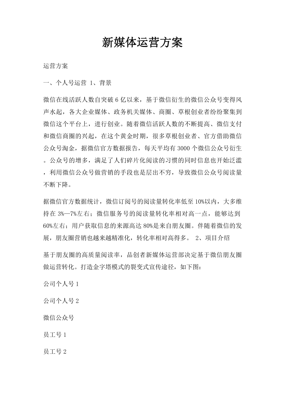 新媒体运营方案(1).docx_第1页