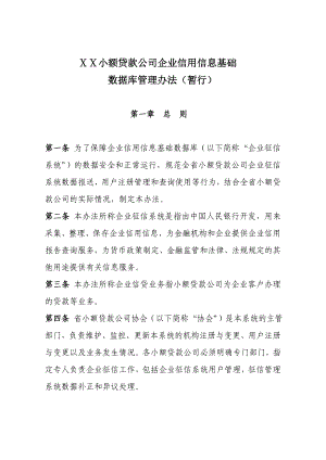 小额贷款公司企业征信系统使用管理规定(暂行).doc