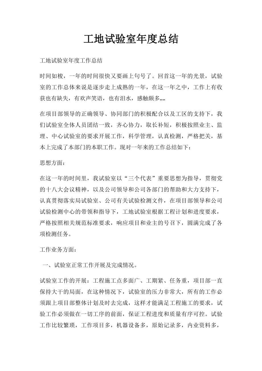 工地试验室年度总结.docx_第1页