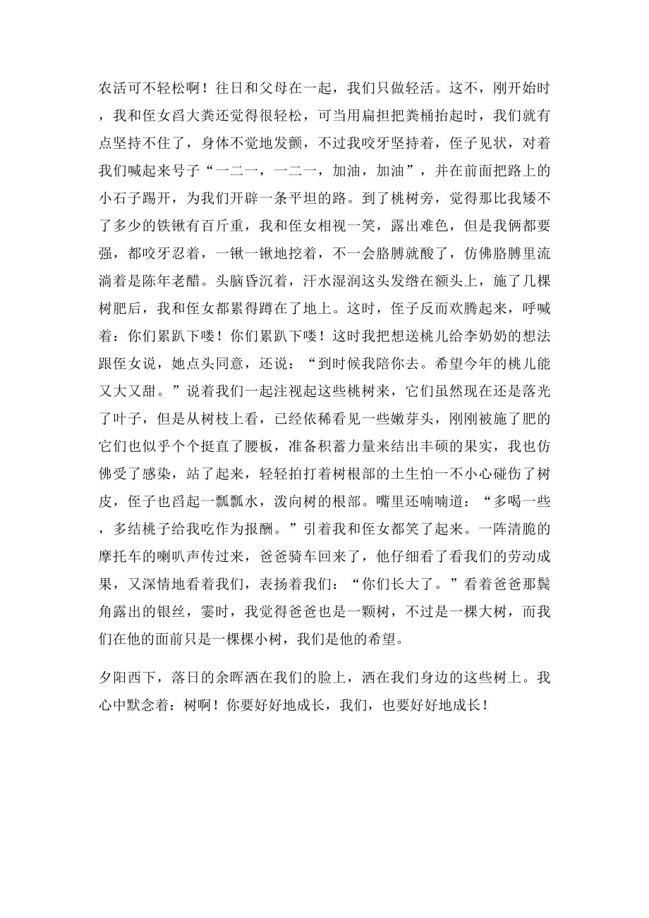 我和小树共成长征文.docx_第3页