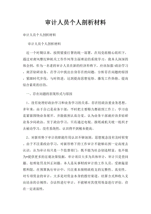 审计人员个人剖析材料.docx