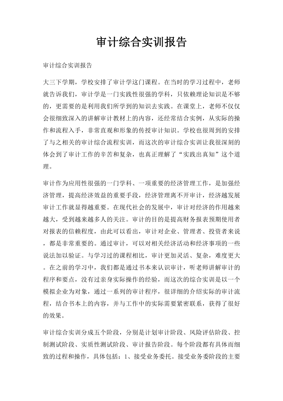 审计综合实训报告.docx_第1页