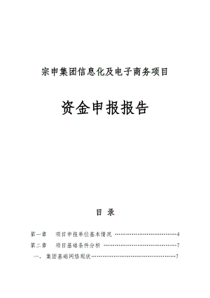 集团信息化以及电子商务项目资金申报报告.doc