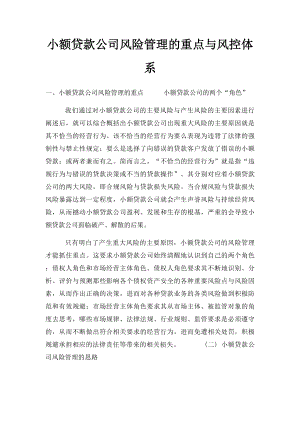 小额贷款公司风险管理的重点与风控体系.docx