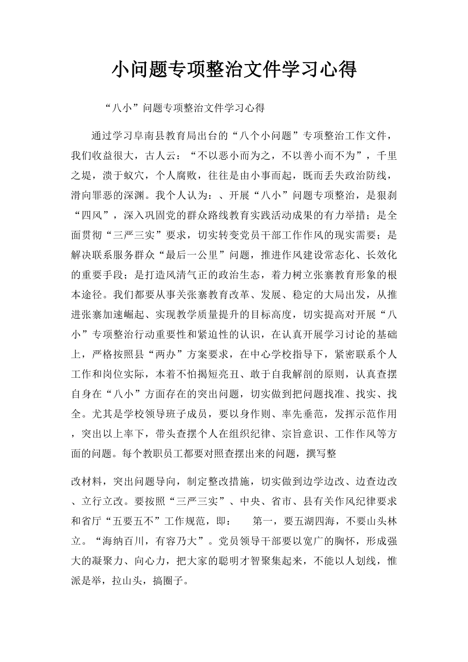 小问题专项整治文件学习心得.docx_第1页